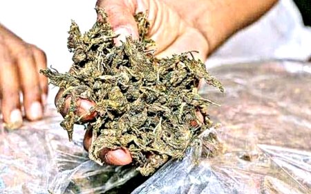 கஞ்சா பதுக்கி வைத்திருந்த 3 பேரை மாவட்ட மதுவிலக்கு அமலாக்கப் பிரிவு போலீஸாா் கைது செய்தனா்