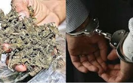 22 கிலோ கஞ்சா கடத்திய வழக்கில் ஆந்திர வாலிபர் கைது.