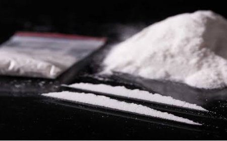 வீட்டில் பதுக்கிய 12 மதிப்பிலான கொக்கைன் பறிமுதல்; வாலிபர் கைது