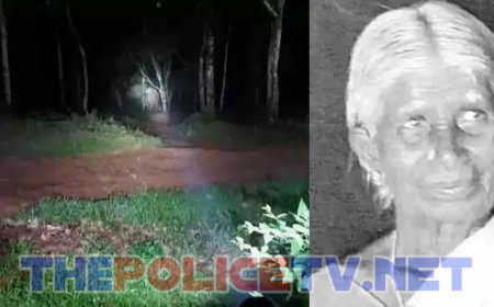 தொடரும் காட்டு யானை தாக்குதல்; பலி எண்ணிக்கை 3-ஆக அதிகரிப்பு