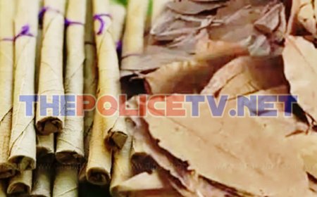 இலங்கைக்கு கடத்த இருந்த 80 மூட்டை பீடி இலைகள் பறிமுதல்