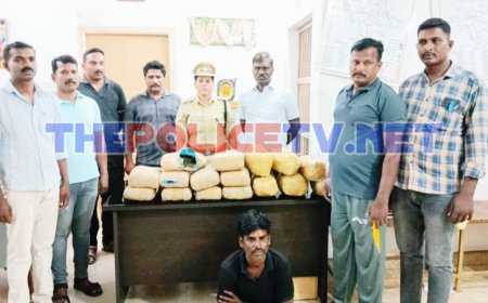 30 கிலோ கஞ்சாவை பதுக்கிய வாலிபர் கைது