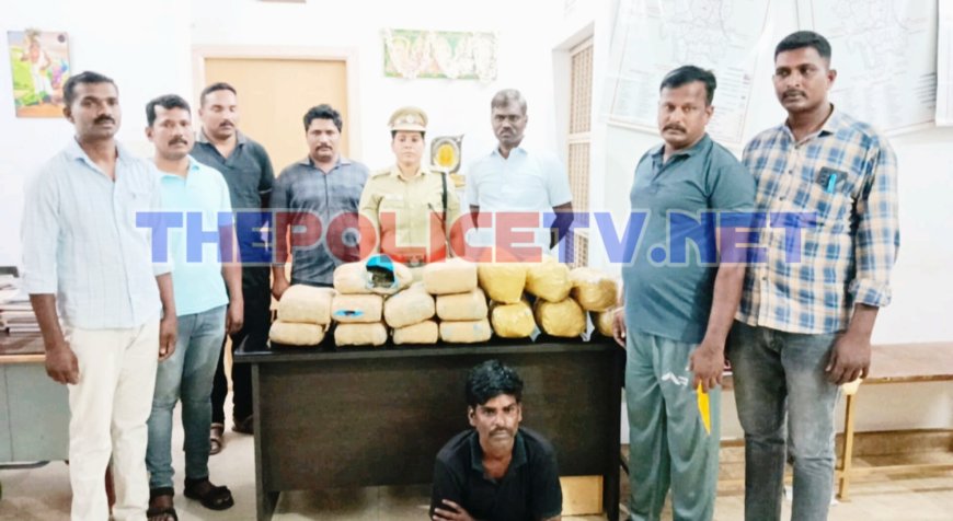 30 கிலோ கஞ்சாவை பதுக்கிய வாலிபர் கைது
