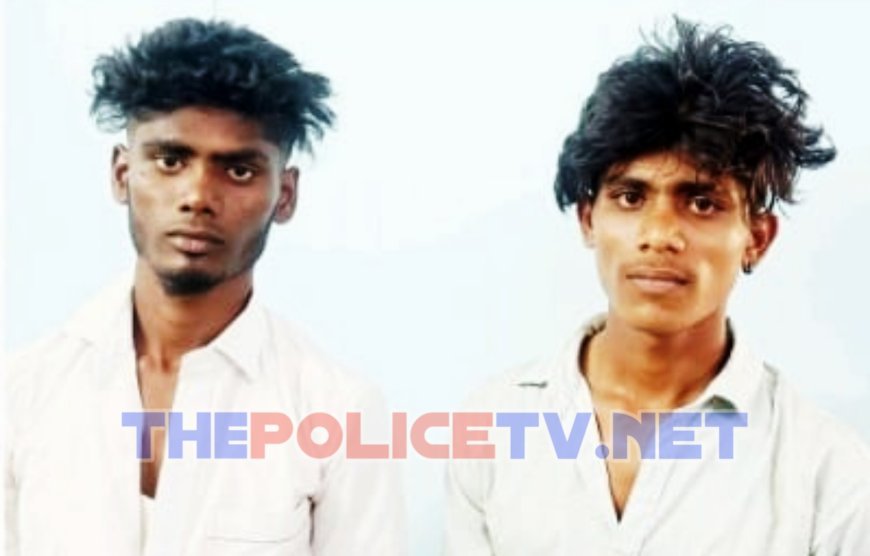 பாப்பாரப்பட்டியில் 3 கிலோ கஞ்சா பறிமுதல்; இருவர் கைது