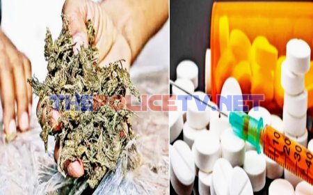 திண்டிவனத்தில் போதை மாத்திரைகள், கஞ்சா உள்ளிட்ட பொருட்கள் விற்பனை; 4 பேர் கைது