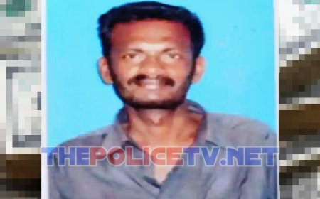 மர்மமான முறையில் விவசாயி உயிரிழப்பு; போலீஸ் விசாரணை