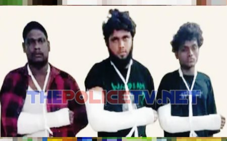 கத்தியை காட்டி தொடர் அட்டூழியம்;3 மாவுக்கட்டு வழிப்பறி வாலிபர்கள் கைது