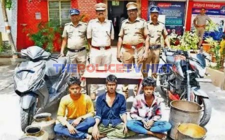 வேலூரில் தொடர் திருட்டில் ஈடுபட்ட 3 வாலிபர்கள் கைது;