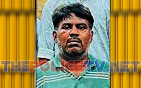 பெண்களின் ஆபாச வீடியோ பதிவிட்ட யூடியூபர் கைது;சைபர் கிரைம் போலீசார் அதிரடி