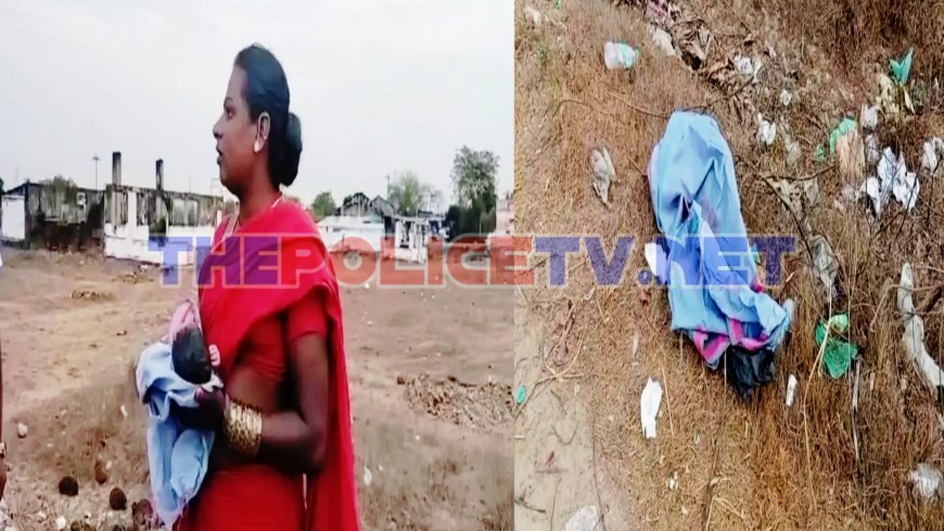 பிறந்த 3 மணி நேர குழந்தை சாலையோரம் வீச்சு;போலீஸ் விசாரணை