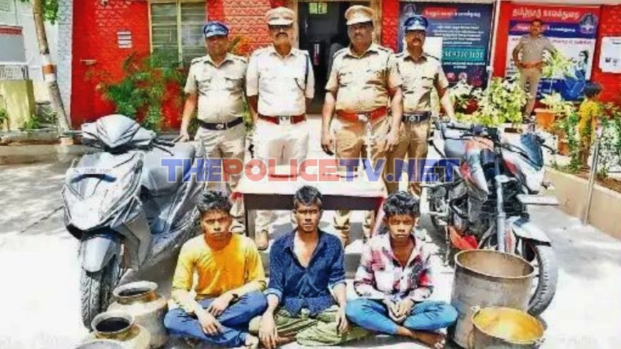 வேலூரில் தொடர் திருட்டில் ஈடுபட்ட 3 வாலிபர்கள் கைது;
