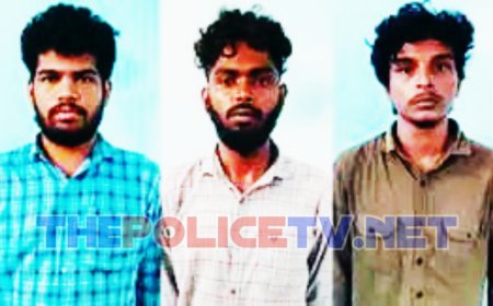 வங்கி ஊழியரிடம் பட்டா கத்தியை காட்டி பணம் பறித்த 3 பேர் கைது