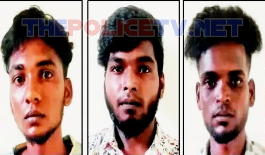 பட்டப்பகலில் பட்டா கத்திகளுடன் பொதுமக்களை அச்சுறுத்தி வந்த  மூன்று ரவுடிகள் கைது