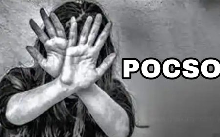 சிறுமிக்கு பாலியல் தொந்தரவு கொடுத்த சிறுவன் மீது போக்சோ வழக்கு பாய்ந்தது