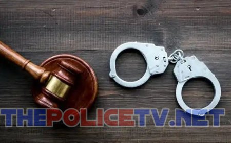ஆம்ஸ்ட்ராங் படுகொலைக்கு பிறகு சென்னையில் 200 ரவுடிகள் அதிரடி கைது