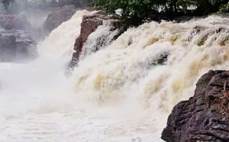 ஒகேனக்கல் காவிரி ஆற்றில் நீர்வரத்து 25 ஆயிரம் கனஅடியாக குறைந்த நிலையில் தற்போது மீண்டும் 55 ஆயிரம் கன அடியாக அதிகரிப்பு