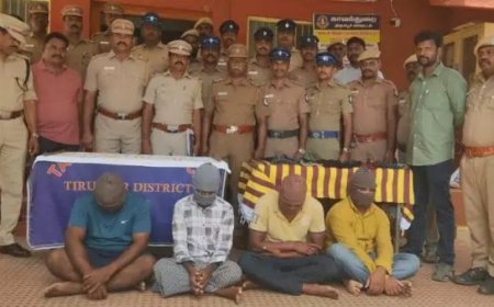 உடுமலையில் முகமூடி கொள்ளையர்கள் 4 பேர் கைது