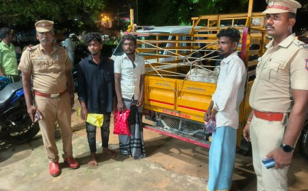 ஆடு திருட்டில் ஈடுபட்ட மூன்று பேர் கைது