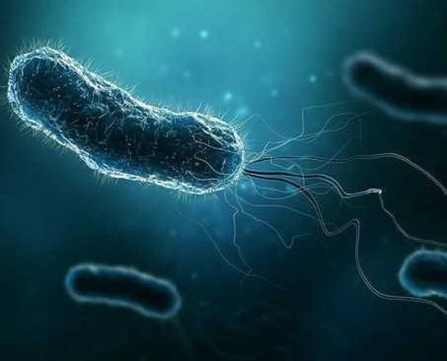 குடிநீரில் 'E Coli' பாக்டீரியா வராமல் தடுப்பது எப்படி?