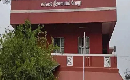 வேப்பூரில் பெண் விஷம் குடித்து தற்கொலை