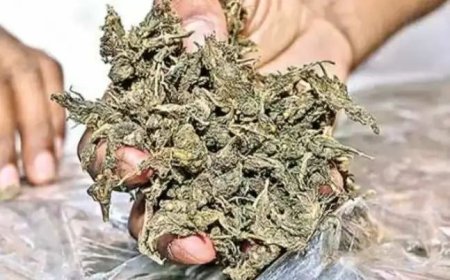 கஞ்சா வைத்திருந்த மூன்று வாலிபர்கள் கைது