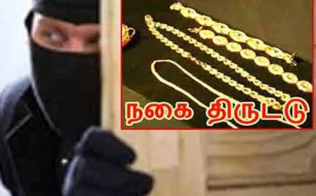 பூட்டி இருந்த வீட்டில் எட்டரை பவுன் நகை திருட்டு